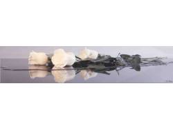 Фартук с фотопечатью Белые розы SP033