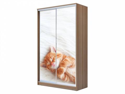 Шкаф-купе Хит 23-15-77 фото 23