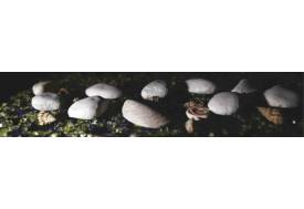 Фартук с фотопечатью Ракушки SP009